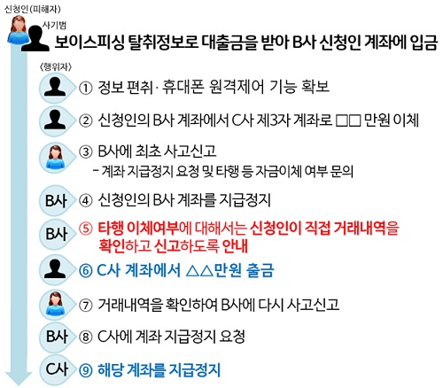 ▲ 보이스피싱 피해 발생 과정/출처-금융감독원