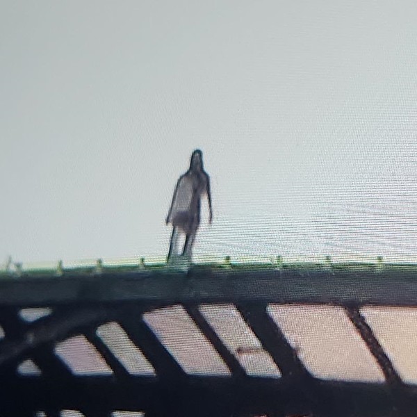▲온라인 커뮤니티 보배드림에 올라온 방음터널 위 여성.
