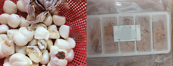 ▲ (왼쪽부터) 썩고 무른 마늘, 아이스팩이 녹아서 배송돼 악취가 나는 성게알