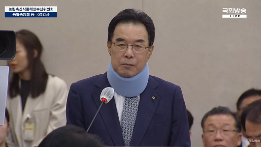 ▲ 13일 열린 농협중앙회 국정감사장에 출석한 이성희 농협중앙회장(출처: 국회방송)