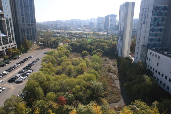 ▲ 여의도동 61-2 매각대상