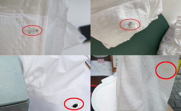▲(왼쪽부터 시계방향) 생리대에서 나온 이물질, 기저귀에서 발견된 이물질, 휴지에서 나온 압착된 파리, 물티슈