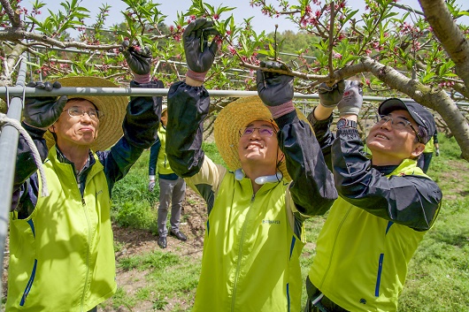 ▲ 이석준 농협금융지주 회장(사진 가운데), 김익수 전략기획부문 부사장(왼쪽), 홍순옥 농협은행 세종본부장(오른쪽)이 적화 작업을 하고 있다.