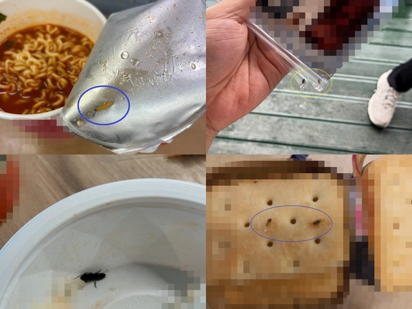 ▲지난해에도 제품에서 벌레가 나왔다는 불만들이 이어졌다. 왼쪽 위부터 시계방향으로 라면, 커피제품 빨대, 과자, 즉석밥 제품.
