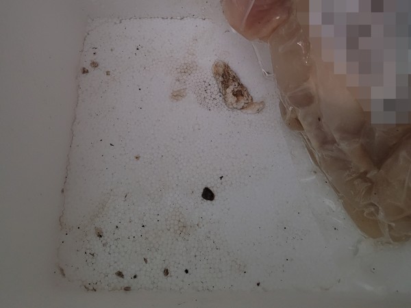 ▲아이스팩 없이 온 택배로 내용물은 녹았고, 곰팡이까지 생겨 있었다.