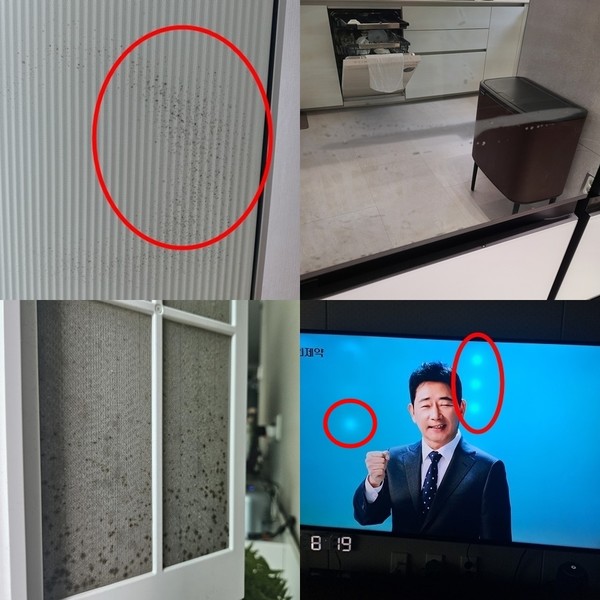 ▲(왼쪽 윗줄부터 시계방향) 곰팡이 핀 에어컨, 결로 현상이 생긴 냉장고, 흰 반점이 생긴 TV 액정, 곰팡이 핀 정수기