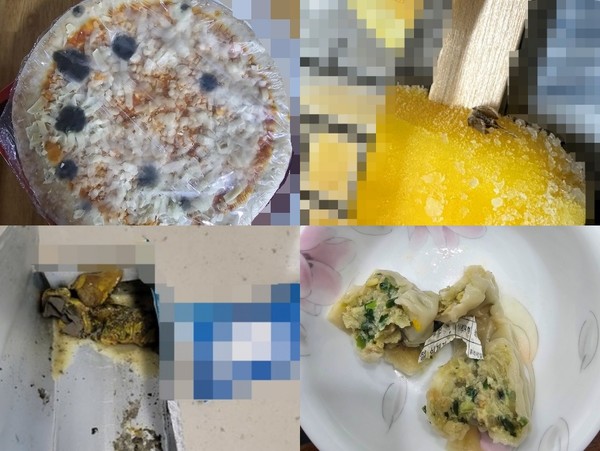 ▲(왼쪽 위부터 시계방향으로) 곰팡이 핀 냉동피자, 아이스크림에 붙은 벌레, 만두에서 발견된 종이 이물, 변질된 두유