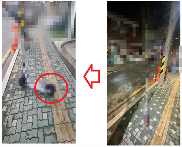 ▲소비자가 정상적으로 반납한 공유 킥보드(오른쪽)를 수거업체 직원이 옮긴 뒤 신고해 수거한 사례. 공유 킥보드를 반납 금지구역인 점자 보도블럭 위로 옮겼다