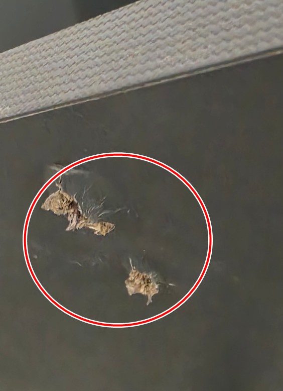 ▲빌트인 정수기를 설치하던 중 상부장에 구멍이 뚫렸다
