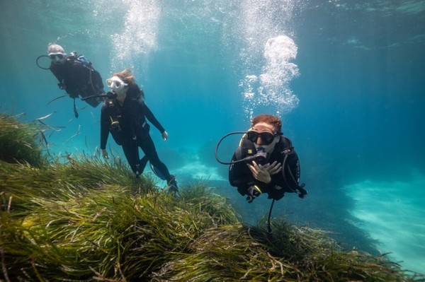 ▲LG전자가 스페인 발레아레스 제도에서 진행하고 있는 스마트 그린 시즈 활동. 사진=LG전자