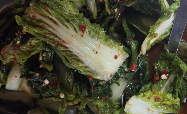 신 씨가 배송받은 열무김치