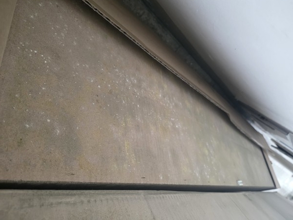 ▲배달 당일 곰팡이가 심하게 핀 침대