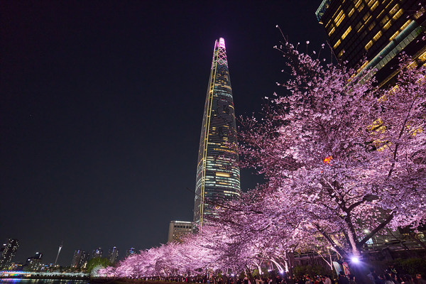 ▲지난해 진행된 ‘2025 스프링 인 잠실’