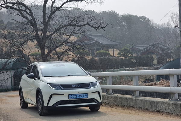 ▲BYD '돌핀'