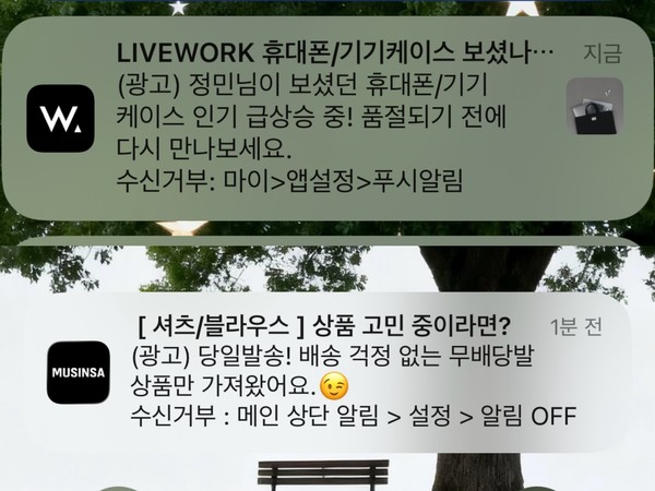 ▲앱을 종료한 후 도착한 리타겟팅 푸시 알림. 소비자의 이름과 마지막으로 본 상품 카테고리를 정확히 언급하며 구매를 유도하고 있다.