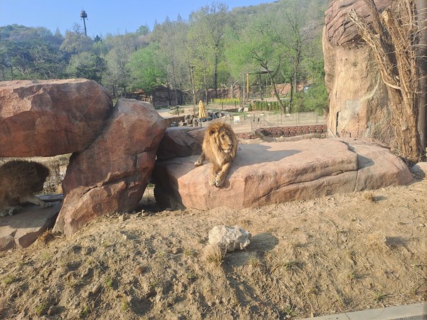 ▲사파리월드./사진=이승규 기자