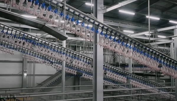 ▲에어칠링 과정. 사진=하림