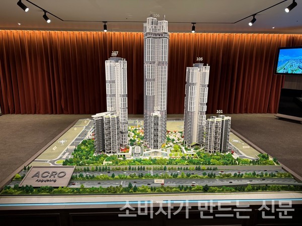 ▲DL이앤씨 '아크로 압구정' 단지 모형. 사진=이설희 기자.
